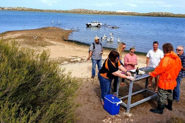 Coorong tours