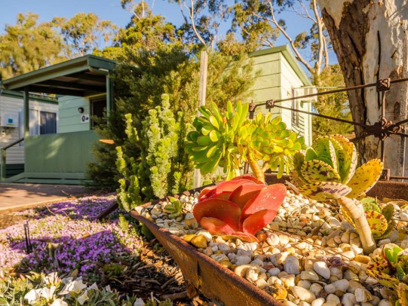 Meningie Accommodation Swan 5 Garden Coorong CABINS